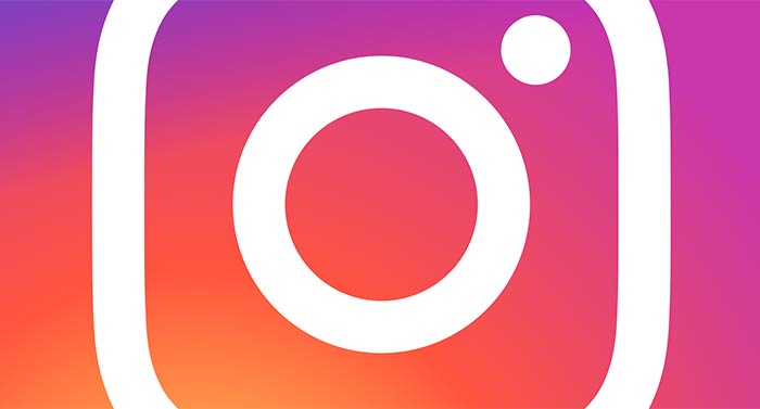 Instagram logo cropped for Wordpress